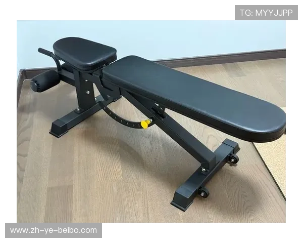 预算党必藏500+张室内健身器材实拍图与选购解析