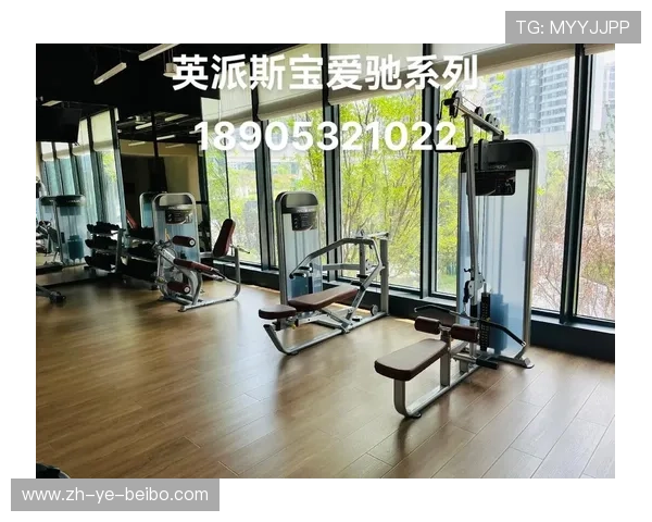 英派斯室内健身器材的优势与使用心得